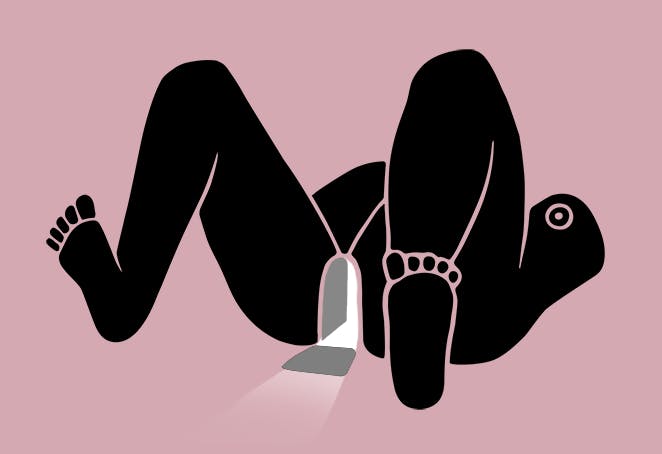 Ms. Magazine Review: Pussypedia Is Changing the Way We Talk About Vaginas